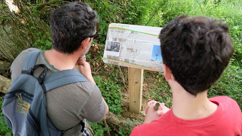 Ecobalade du vieux bocage du Perche