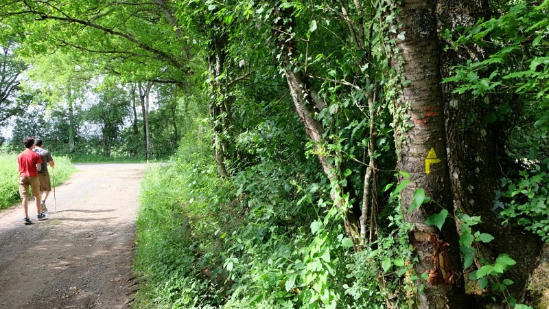 Ecobalade du vieux bocage du Perche