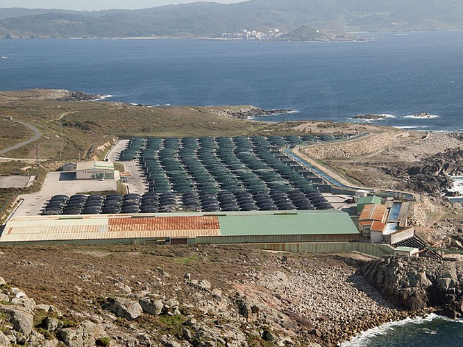 A MAIOR PISCIFACTORÍA DO MUNDO