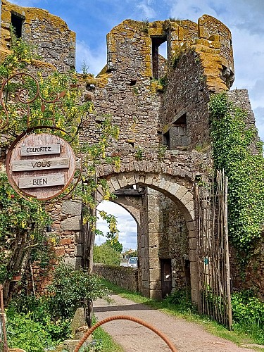 440413726_7967866169891763_4749512868533870125_n