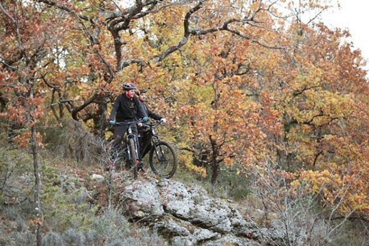 fc location bike S2