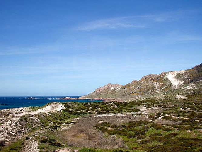 BENEDICTINOS Y VIKINGOS