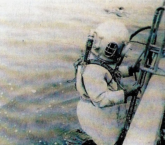 OS MERGULLADORES DE CAMELLE