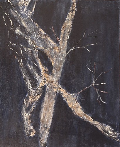 Bernard Troublé Artiste Plasticien