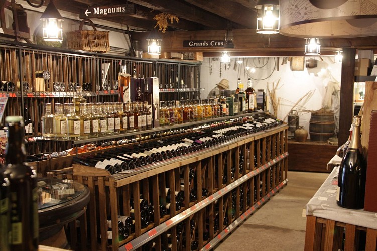 Cave de dégustation de vins à Autun