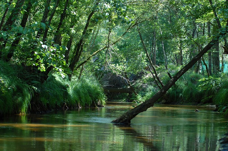 Base de loisirs de Mexico