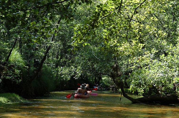 photosansgilet.JPG_3