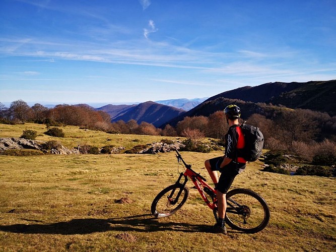 FEC0BFAB-28AA-4D74-B73D-53E4A3AC1A13