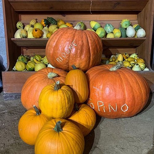 Chez Moune 2022 (10)