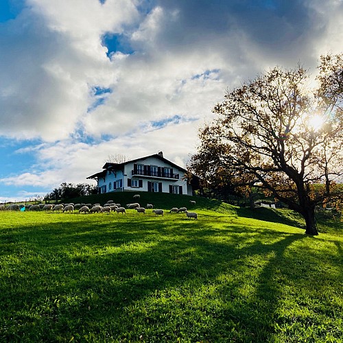 Amama Baita Facade 2