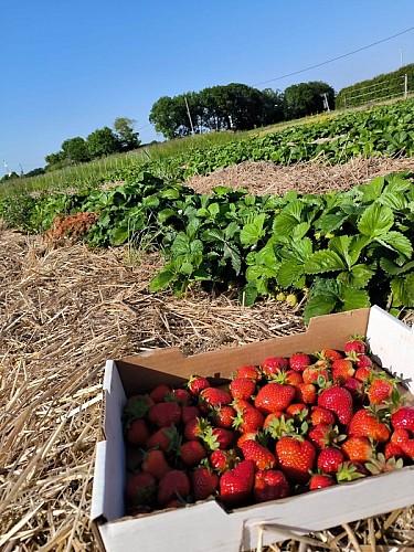 350323403_1270136000608394_6605269775408763631_n