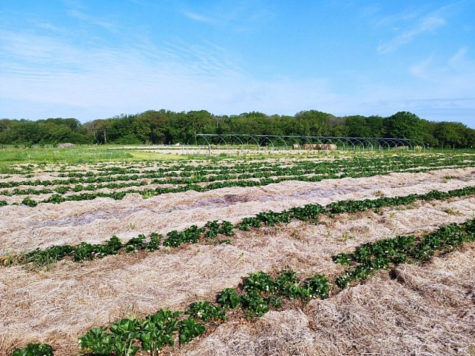 350120026_964608761357217_1096803436371456427_n