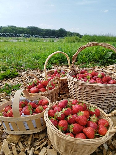 349339521_274131861839384_5922903814190701453_n