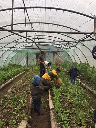 Le Battements d'ailes_1