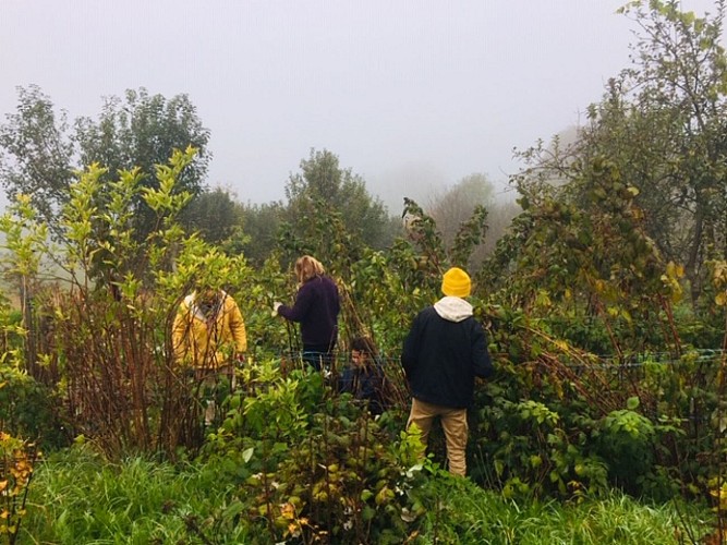 Le Battements d'ailes_2