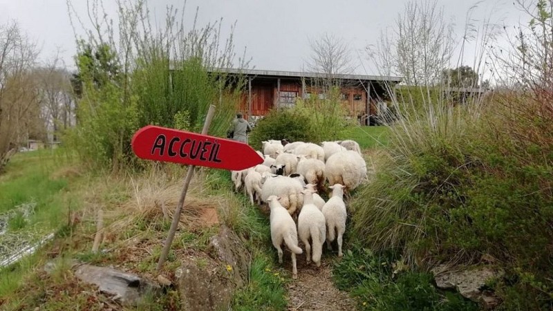 Le Battements d'ailes_3