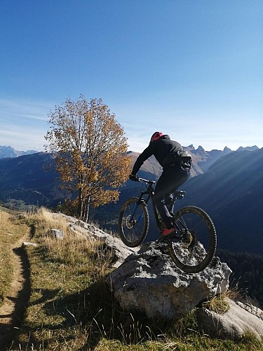 Loan Dul - Mountain bike monitor