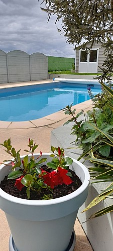 Chambre du Vignoble La Regrippière