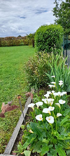 Chambre du Vignoble La Regrippière