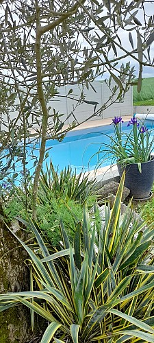 Chambre du Vignoble La Regrippière