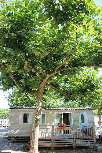 Städtischer Campingplatz La Vallée Bleue