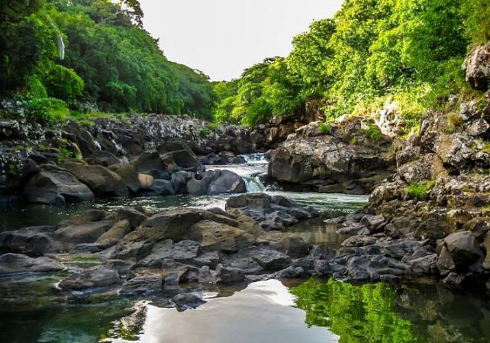 Randonnée guidée dans le Parc National des Gorges de Rivière Noire, à l'Île Maurice