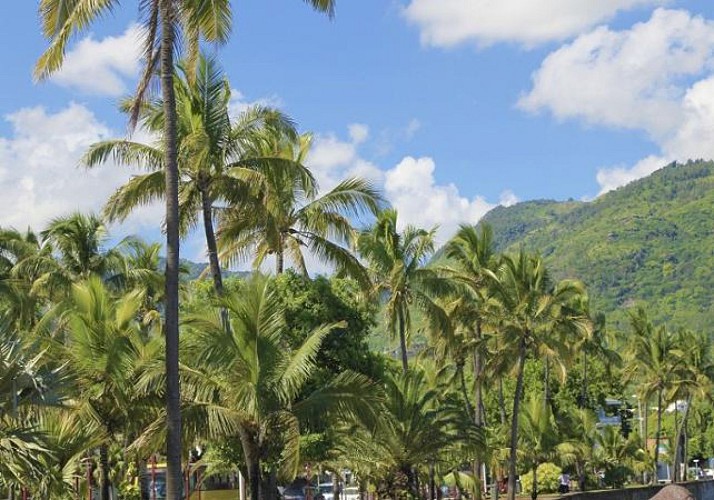 Visite guidée de la ville de Saint-Denis de La Réunion avec guide privé