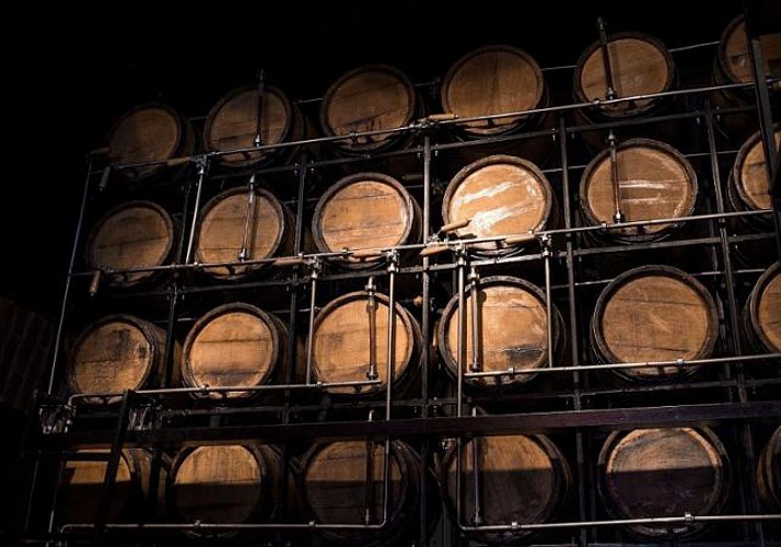 Visite guidée d’une distillerie à La Réunion, avec dégustation