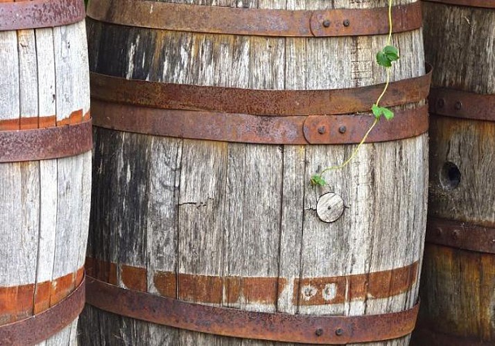 Visite guidée d’une distillerie à La Réunion, avec dégustation