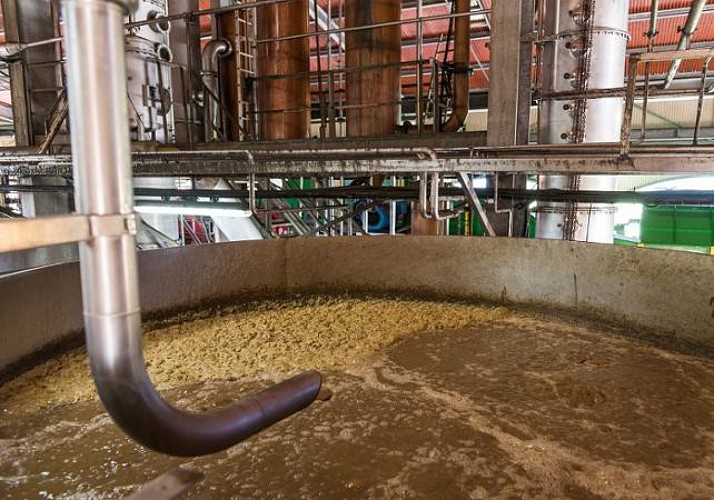 Visite guidée d’une distillerie à La Réunion, avec dégustation