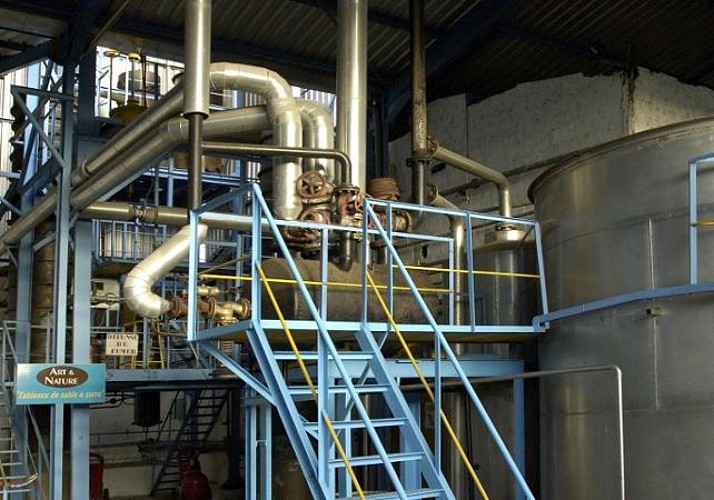 Visite guidée d’une distillerie à La Réunion, avec dégustation