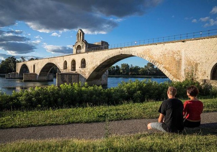 Billet Pont d'Avignon, Palais des Papes et Jardins Pontificaux (selon option choisie)