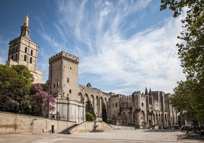 Billet Pont d'Avignon, Palais des Papes et Jardins Pontificaux (selon option choisie)