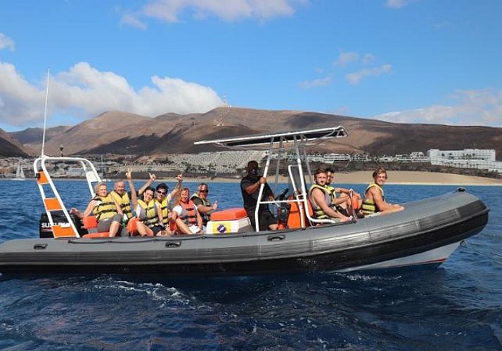 Croisière d'observation des dauphins à Fuerteventura - En français