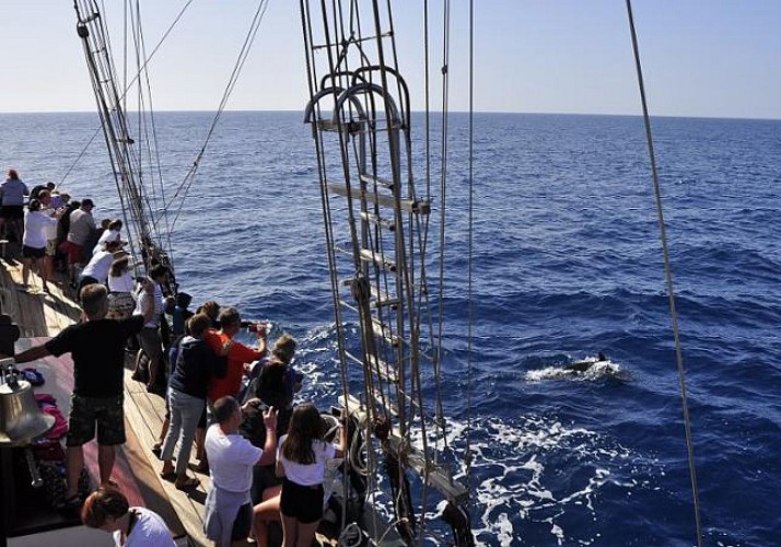 Excursion en bateau pirate avec déjeuner et boissons au départ d