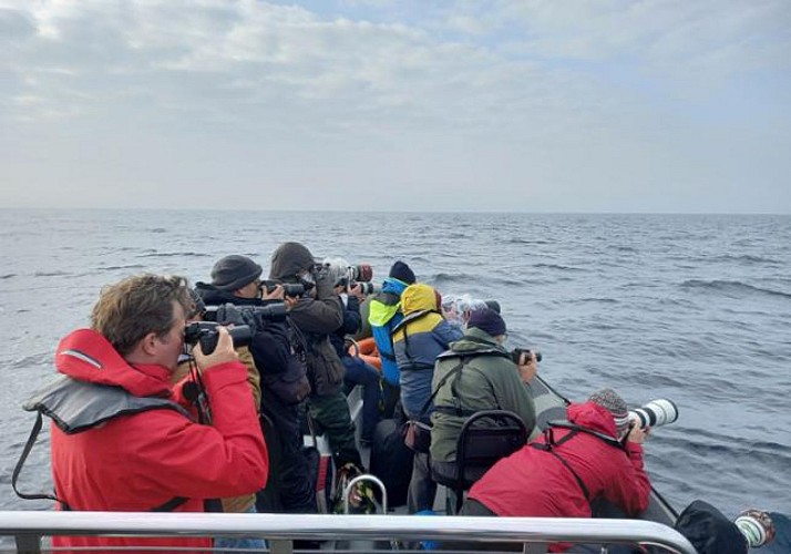 Croisière d'observation dans la Réserve Naturelle de l'Estuaire du Tage - en français - Au départ de Lisbonne