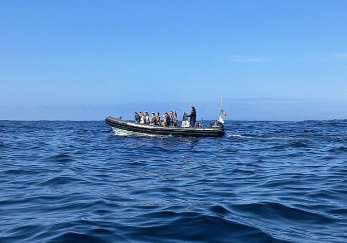 Croisière d'observation dans la Réserve Naturelle de l'Estuaire du Tage - en français - Au départ de Lisbonne