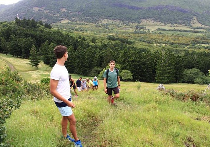 Randonnée guidée jusqu'au sommet du Morne Brabant à l’île Maurice