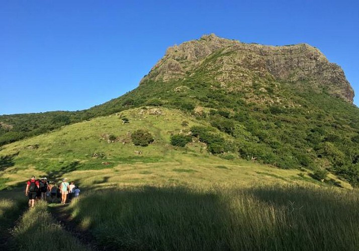 Randonnée guidée jusqu'au sommet du Morne Brabant à l’île Maurice