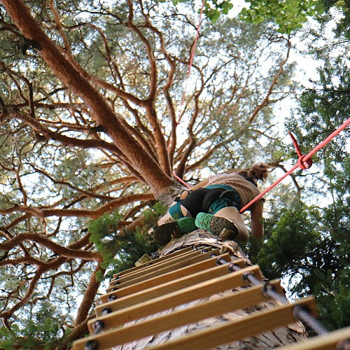 Grimpe-d'arbres-Montpeyroux17