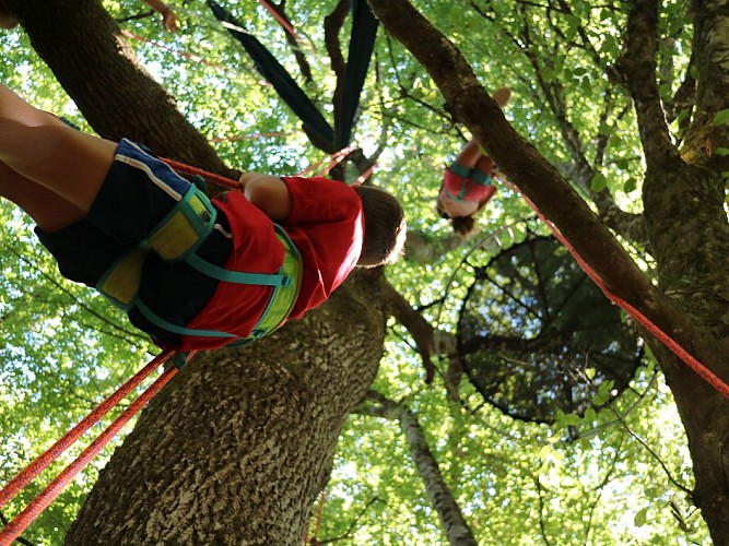 Grimpe-d'arbres-Montpeyroux