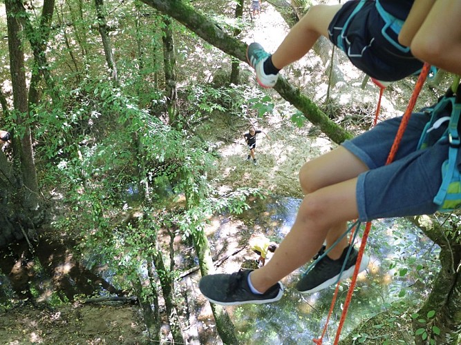 Grimpe-d'arbres-Montpeyroux