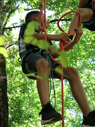Grimpe-d'arbres-Montpeyroux
