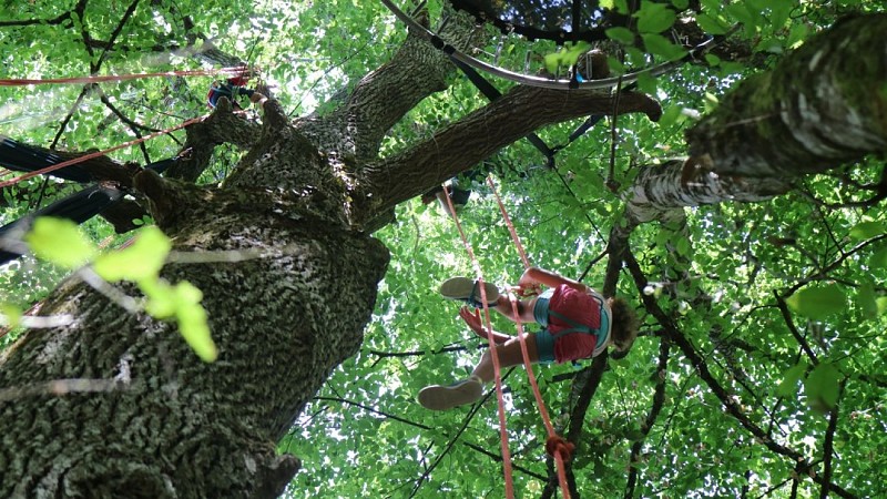 Grimpe-d'arbres-Montpeyroux24