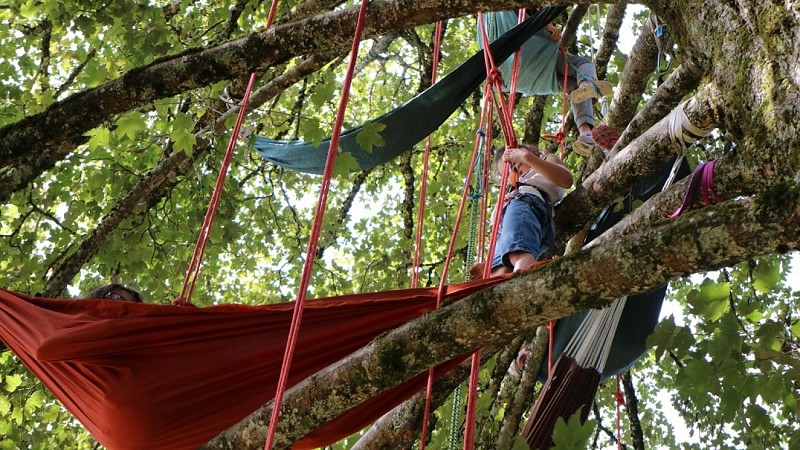 Grimpe-d'arbres-Montpeyroux10