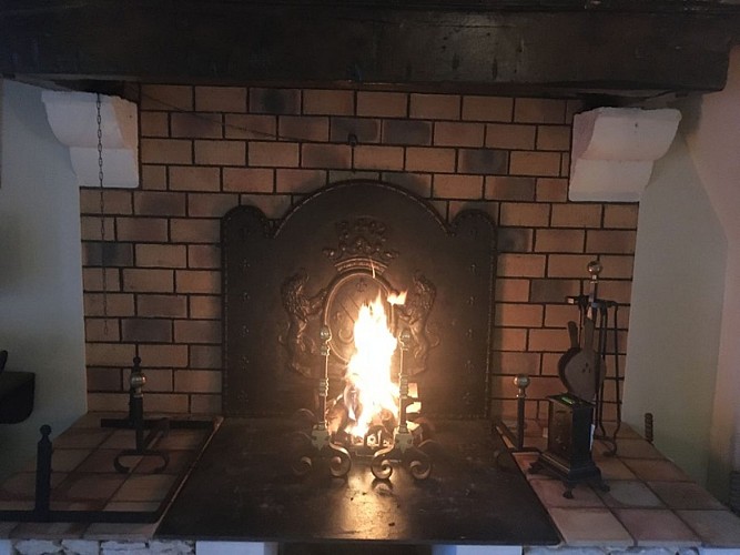 ANTRE FEU CHEMINEE (1)