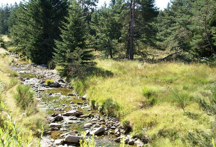 La Perte du Bonheur à Camprieu