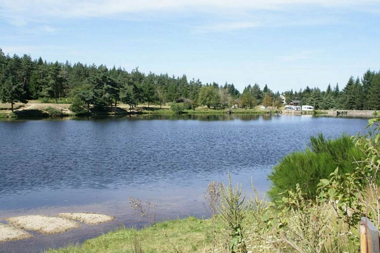 La Perte du Bonheur à Camprieu