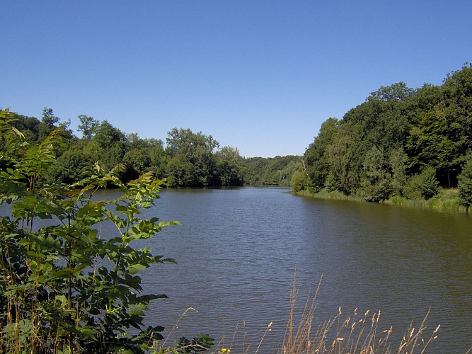 Etang de la Geneste