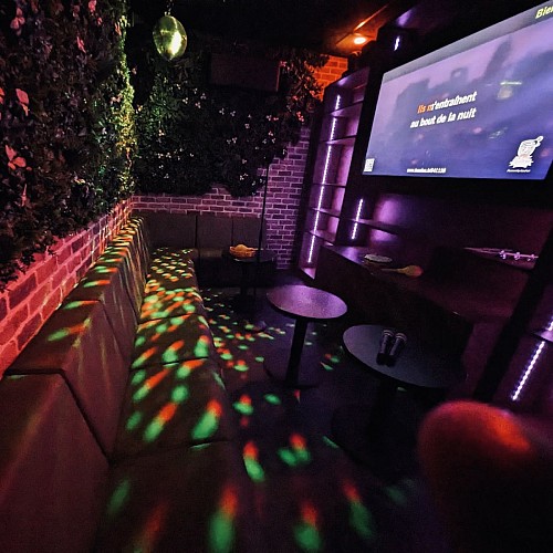Karaoke_Botanique_2